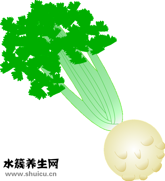 沙白湯的做法大全