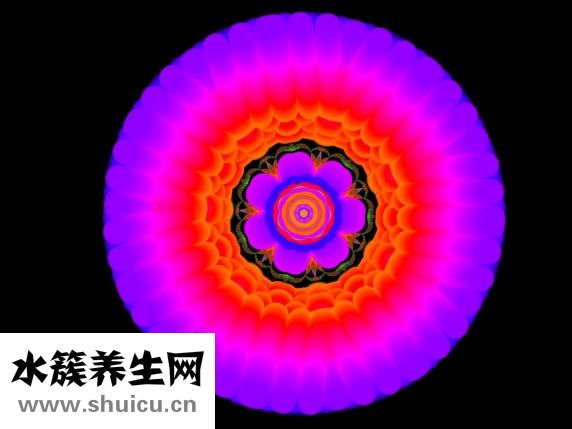 食物熱量排行榜