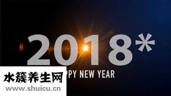 薄荷油的功效與作用