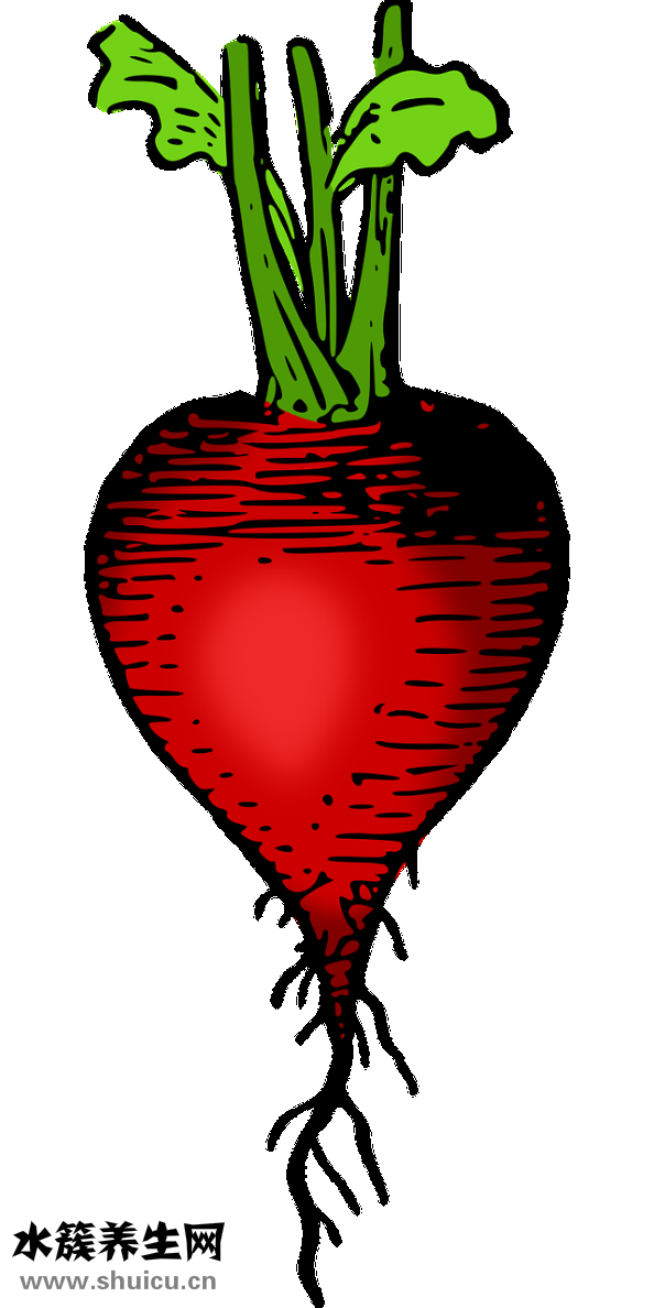 血糖高能吃蘿卜嗎