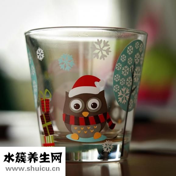 楮實(shí)子的別名