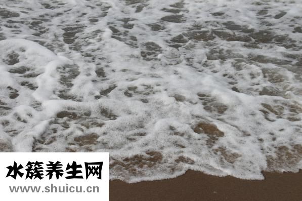 鈍器是什么意思