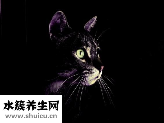 隱形眼鏡的正反面