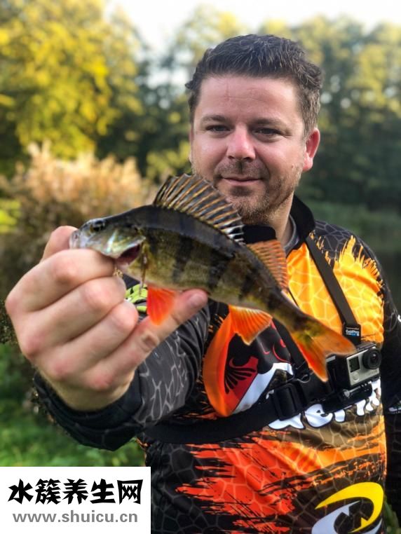 腎陰虛吃什么好