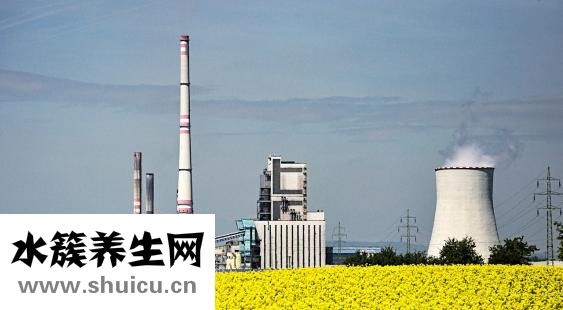 褪黑素有什么用