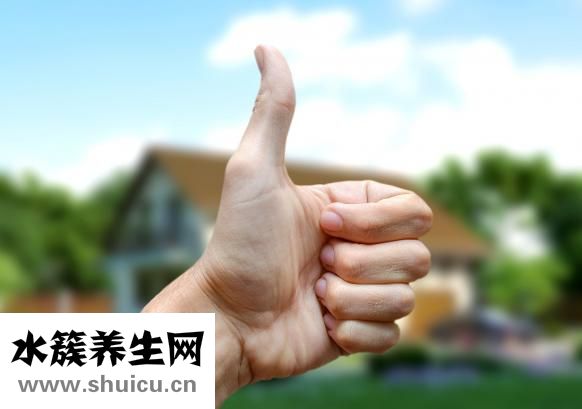 眼部六條經絡圖解