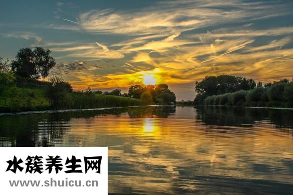 牙縫黑了怎么辦