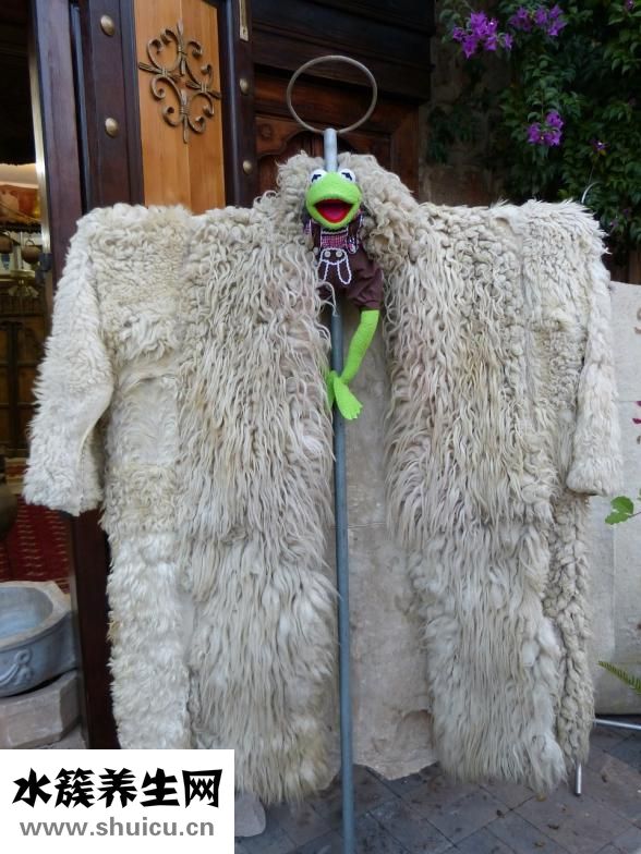 肺氣肺怎樣治療