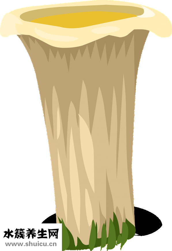 下巴短怎么改善