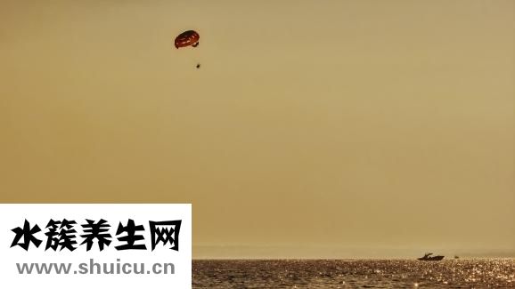 縮陰藥哪種效果好