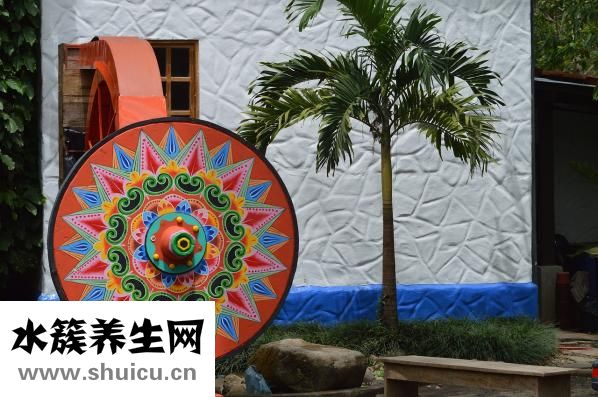 舌頭下面有小疙瘩