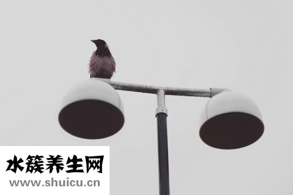 燙發(fā)需要多長(zhǎng)時(shí)間