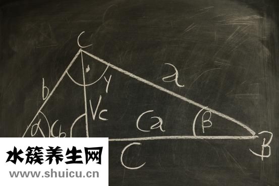 腿長標準對照表