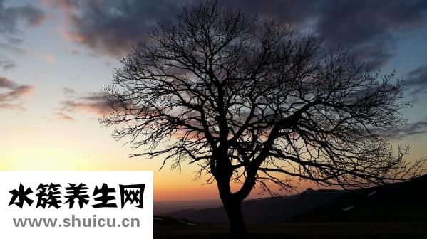 炸五花肉的做法