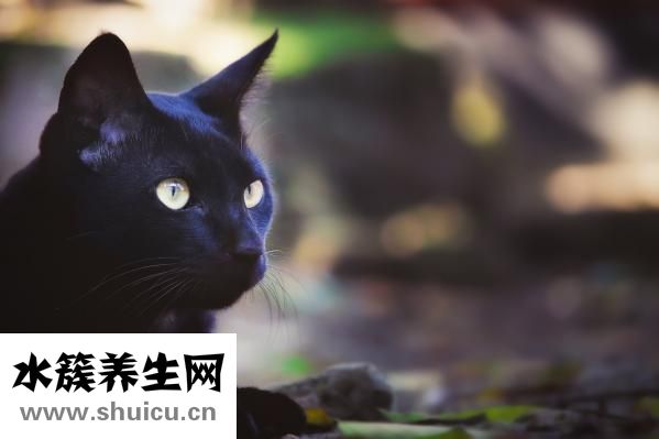 眼睛模糊怎么治療