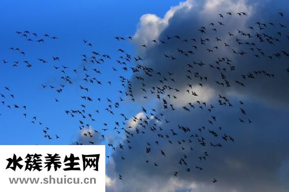 牙根發(fā)黑是怎么回事