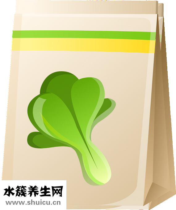 濕面條怎么做好吃