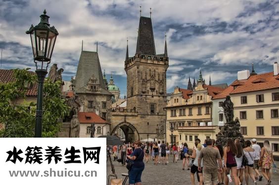 胃不舒服吃什么菜