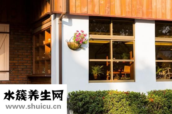 胃腸感冒吃什么