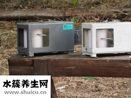 試紙晚上用準(zhǔn)嗎