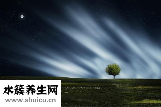 科學(xué)睡眠時(shí)間