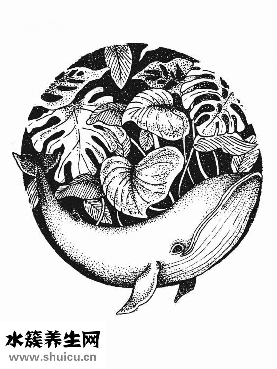 紋身可以喝酒嗎