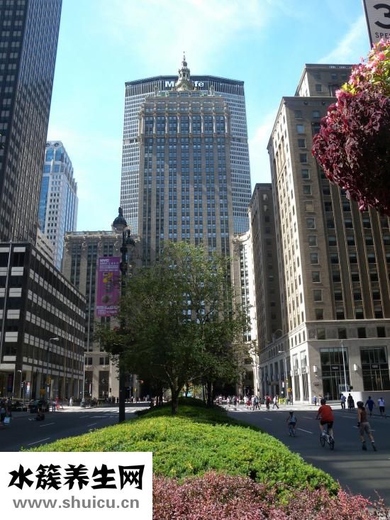 腹直肌分離自測(cè)