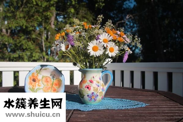 淮山和山藥的區別