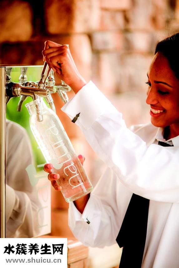 白術泡水喝的功效