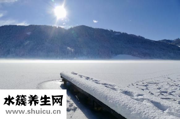 山藥豆發(fā)芽能吃嗎