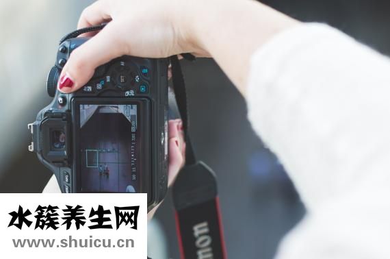 西洋參喝的功效