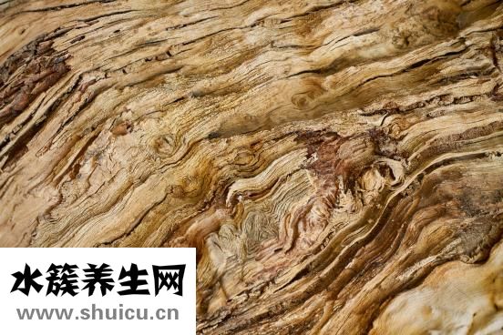 月經顏色深褐色