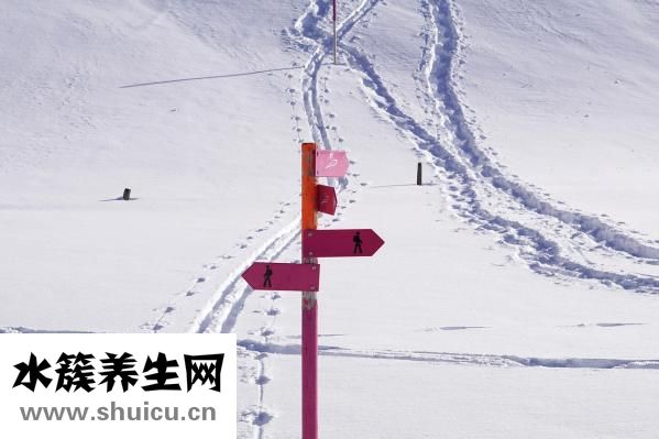 水蜜桃的功效與作用