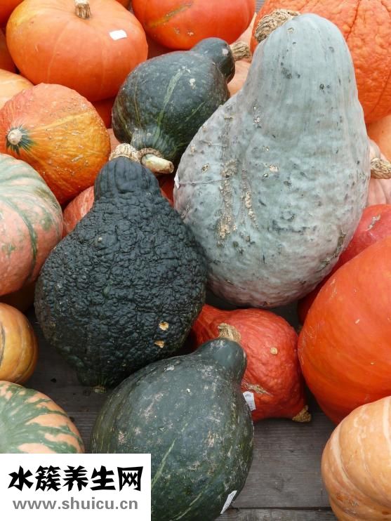 胃不舒服吃什么菜