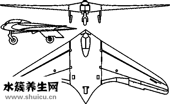 隱形矯正多少錢