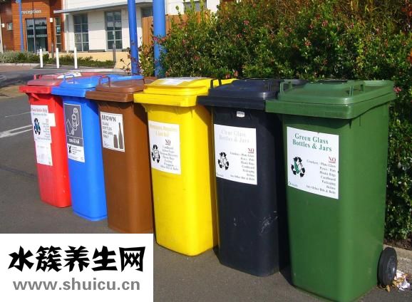 益生菌的作用與功效