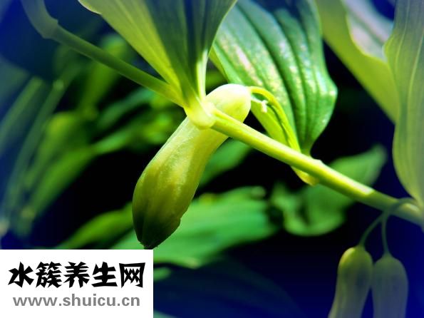 理氣是什么意思