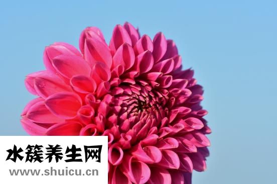 腹直肌分離自測(cè)