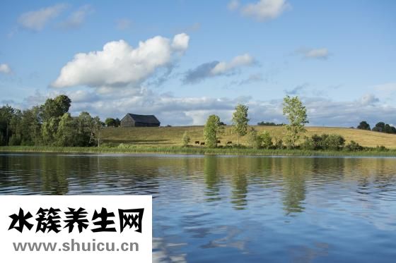 胸骨在哪個(gè)位置