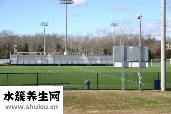 膝蓋半月板在哪里