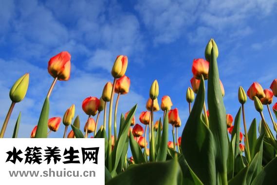 油豆腐怎么做好吃