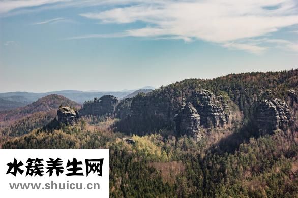 胃管多久更換一次