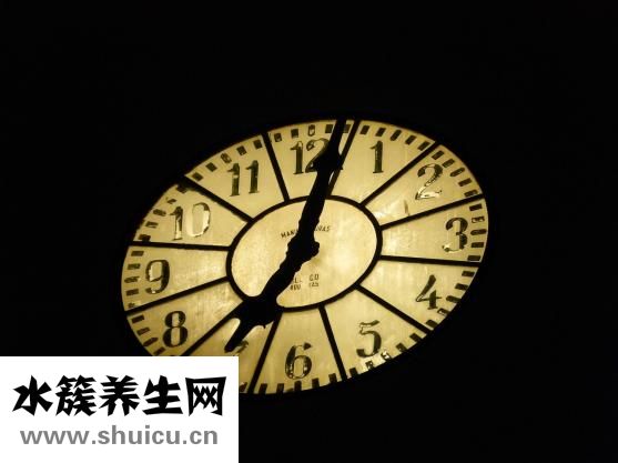 羊腿怎樣燉才好吃