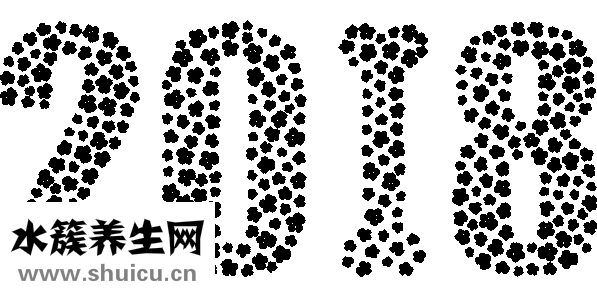 牙套的種類及價格