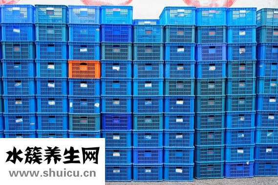 血常規怎么看貧血