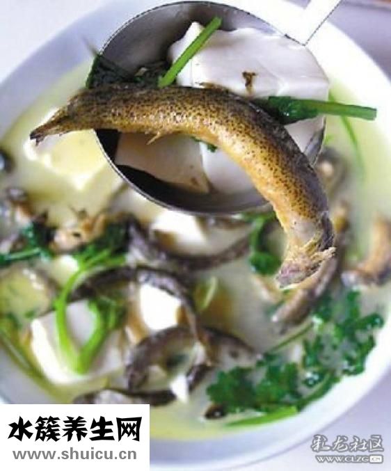 黃鱔和泥鰍的區別