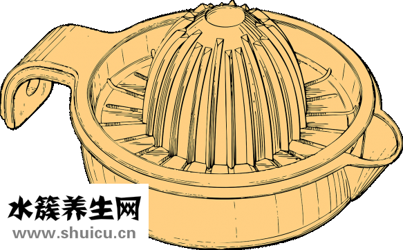 蔬菜汁的做法大全
