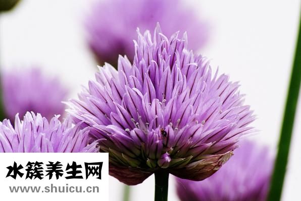 玉米面怎么做好吃