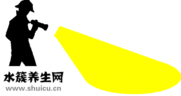 血小板是什么東西