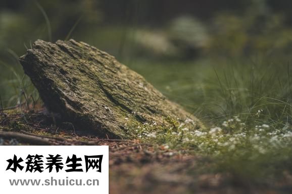 純蜂蜜怎么辨別